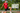 NOVUS August 2026: Custom Apparel, Partnerships &amp; a Summer on the Move