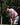 Coastal Palm Performance Polo