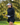 WOMEN'S LUXEFIT FULL ZIP HOODIE
